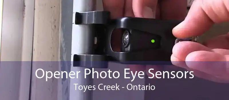 Opener Photo Eye Sensors Toyes Creek - Ontario