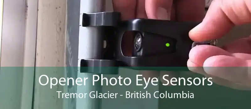 Opener Photo Eye Sensors Tremor Glacier - British Columbia