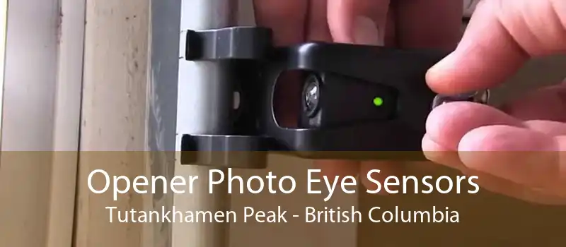 Opener Photo Eye Sensors Tutankhamen Peak - British Columbia