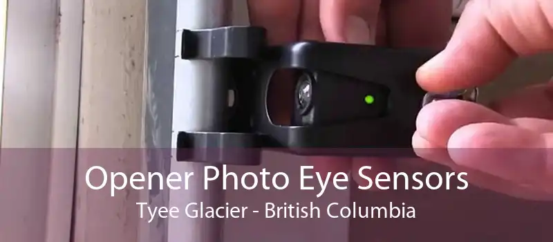 Opener Photo Eye Sensors Tyee Glacier - British Columbia