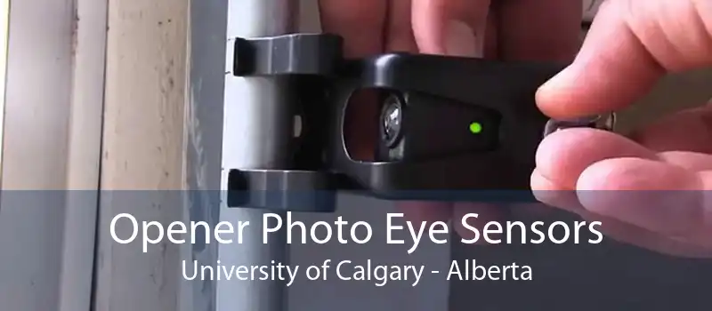 Opener Photo Eye Sensors University of Calgary - Alberta