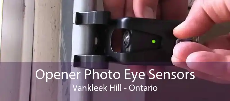 Opener Photo Eye Sensors Vankleek Hill - Ontario
