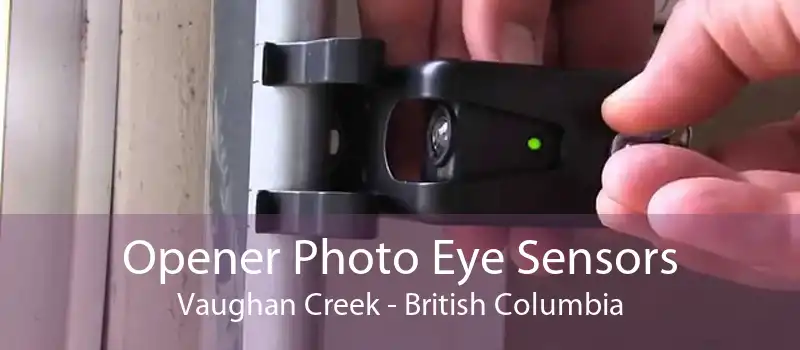 Opener Photo Eye Sensors Vaughan Creek - British Columbia