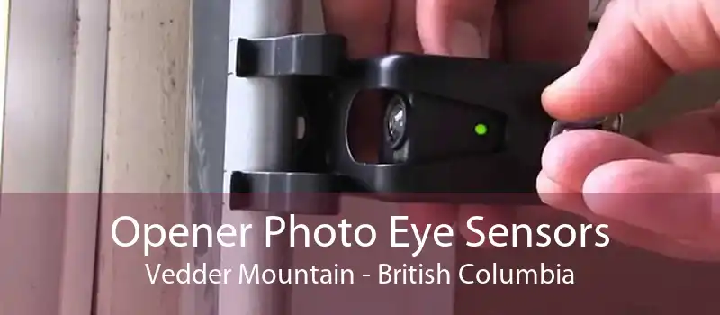 Opener Photo Eye Sensors Vedder Mountain - British Columbia