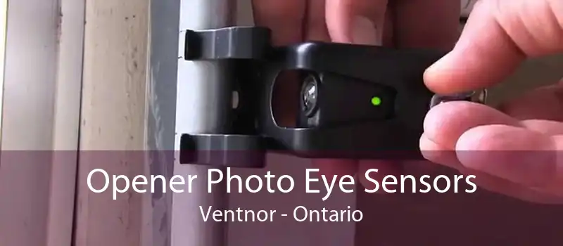 Opener Photo Eye Sensors Ventnor - Ontario