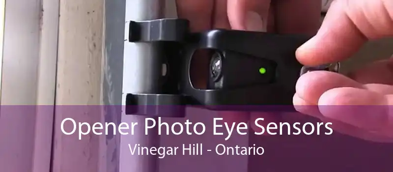 Opener Photo Eye Sensors Vinegar Hill - Ontario
