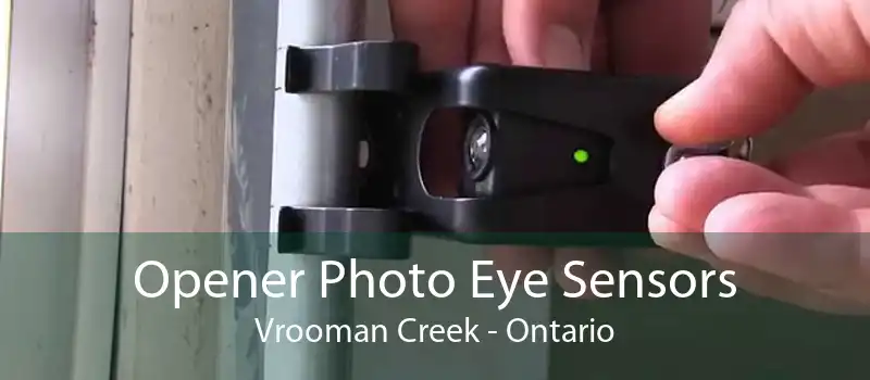 Opener Photo Eye Sensors Vrooman Creek - Ontario