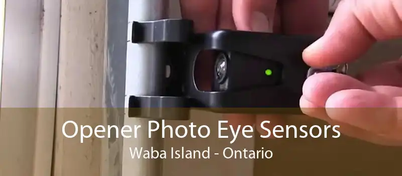 Opener Photo Eye Sensors Waba Island - Ontario