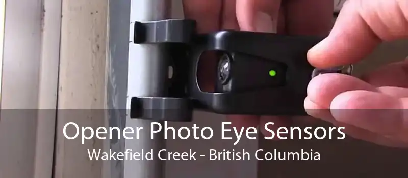 Opener Photo Eye Sensors Wakefield Creek - British Columbia