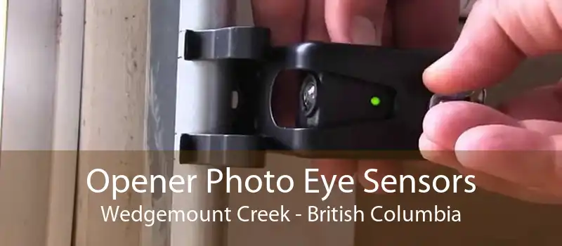 Opener Photo Eye Sensors Wedgemount Creek - British Columbia