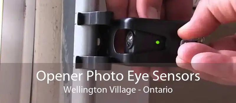 Opener Photo Eye Sensors Wellington Village - Ontario