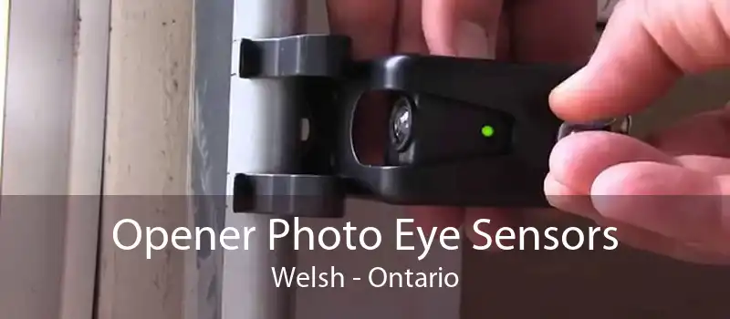 Opener Photo Eye Sensors Welsh - Ontario