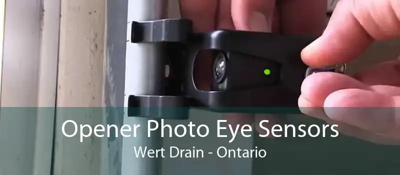 Opener Photo Eye Sensors Wert Drain - Ontario