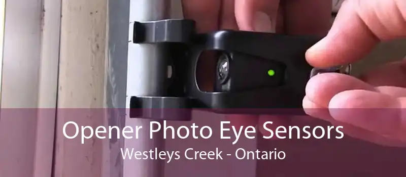 Opener Photo Eye Sensors Westleys Creek - Ontario