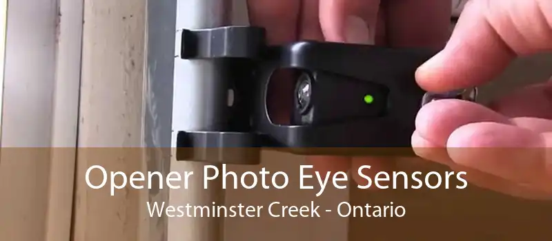 Opener Photo Eye Sensors Westminster Creek - Ontario