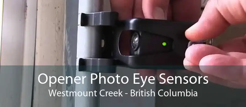 Opener Photo Eye Sensors Westmount Creek - British Columbia