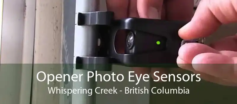 Opener Photo Eye Sensors Whispering Creek - British Columbia