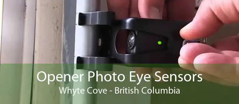 Opener Photo Eye Sensors Whyte Cove - British Columbia