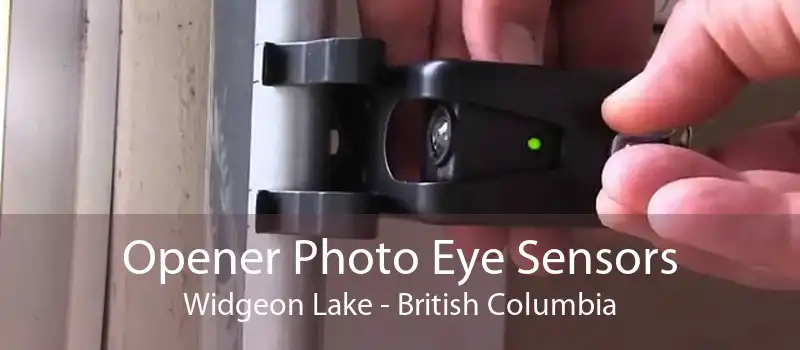 Opener Photo Eye Sensors Widgeon Lake - British Columbia