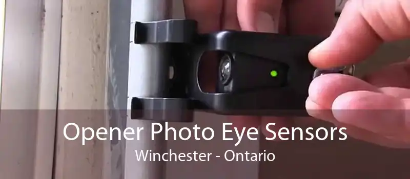 Opener Photo Eye Sensors Winchester - Ontario
