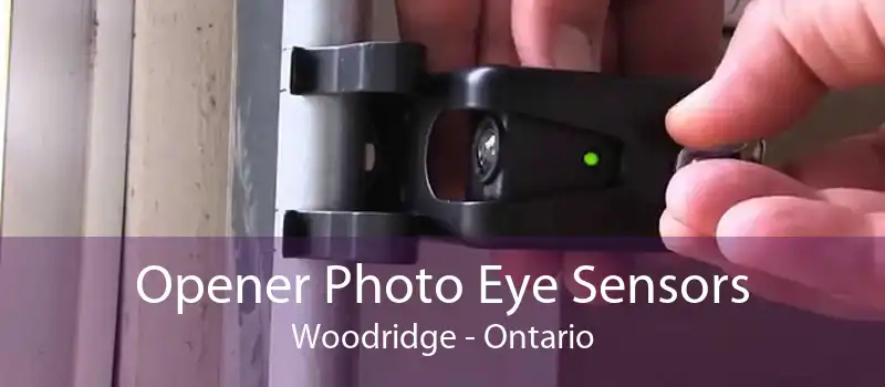 Opener Photo Eye Sensors Woodridge - Ontario