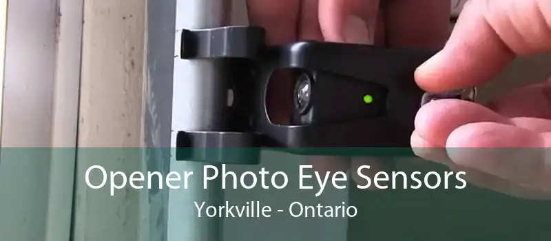 Opener Photo Eye Sensors Yorkville - Ontario