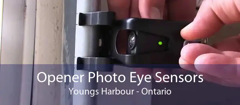 Opener Photo Eye Sensors Youngs Harbour - Ontario