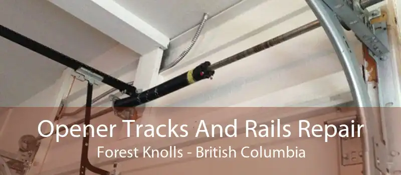 Opener Tracks And Rails Repair Forest Knolls - British Columbia