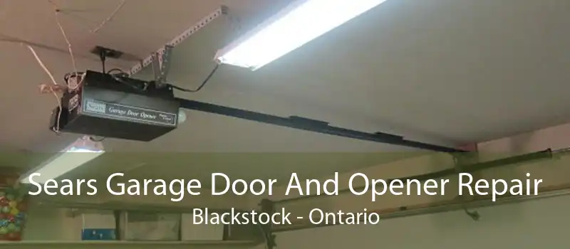 Sears Garage Door And Opener Repair Blackstock - Ontario