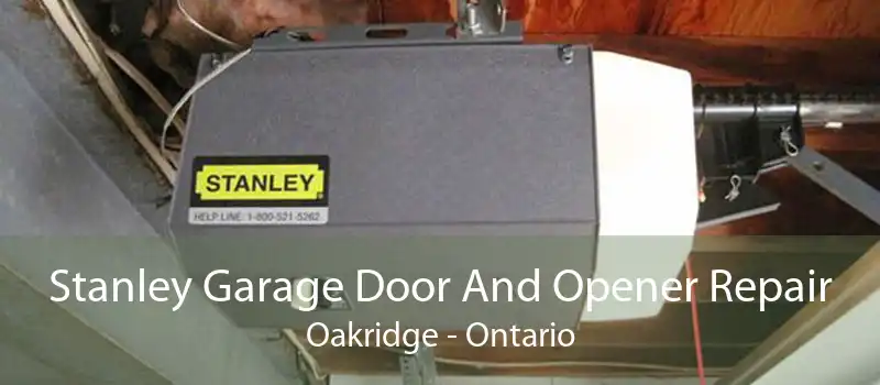 Stanley Garage Door And Opener Repair Oakridge - Ontario