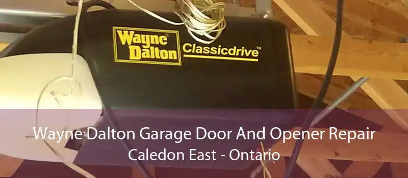 Wayne Dalton Garage Door And Opener Repair Caledon East - Ontario