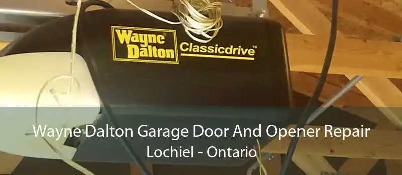 Wayne Dalton Garage Door And Opener Repair Lochiel - Ontario