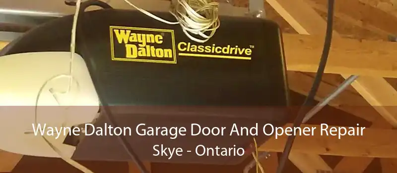 Wayne Dalton Garage Door And Opener Repair Skye - Ontario