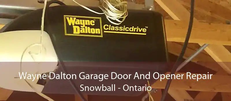 Wayne Dalton Garage Door And Opener Repair Snowball - Ontario