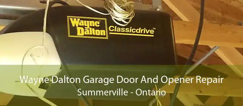 Wayne Dalton Garage Door And Opener Repair Summerville - Ontario